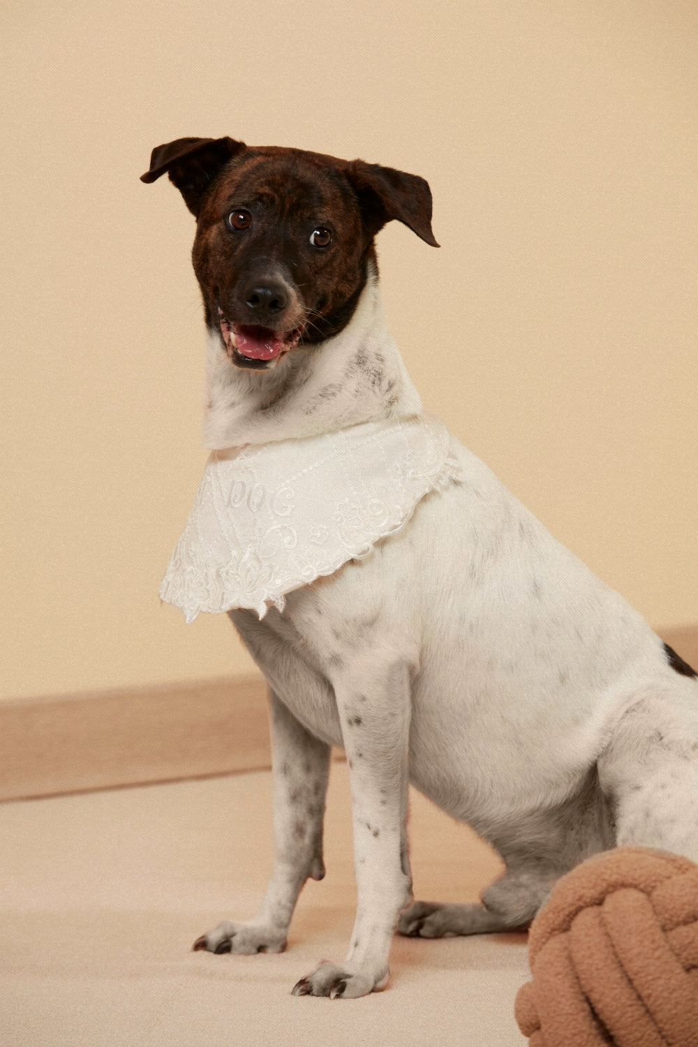 Best Dog Bandana