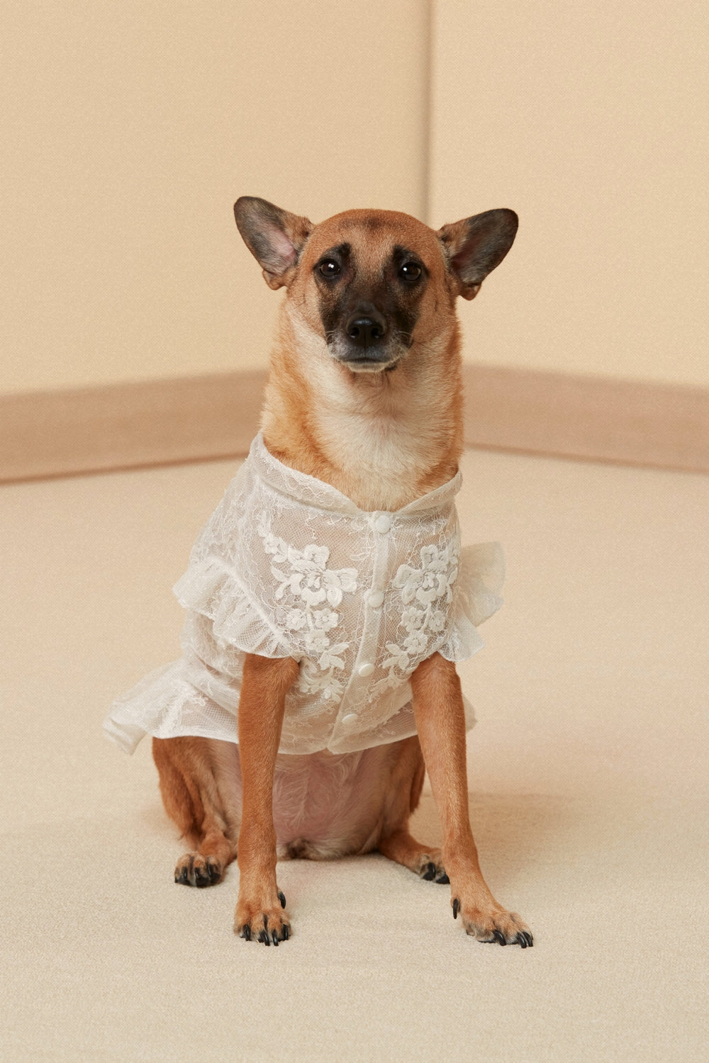Lace Wedding Gown