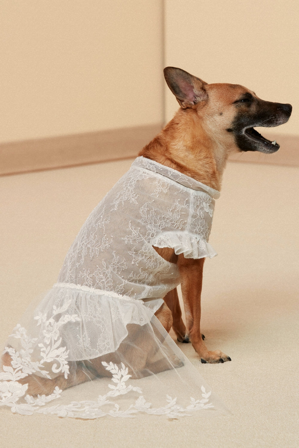 Lace Wedding Gown