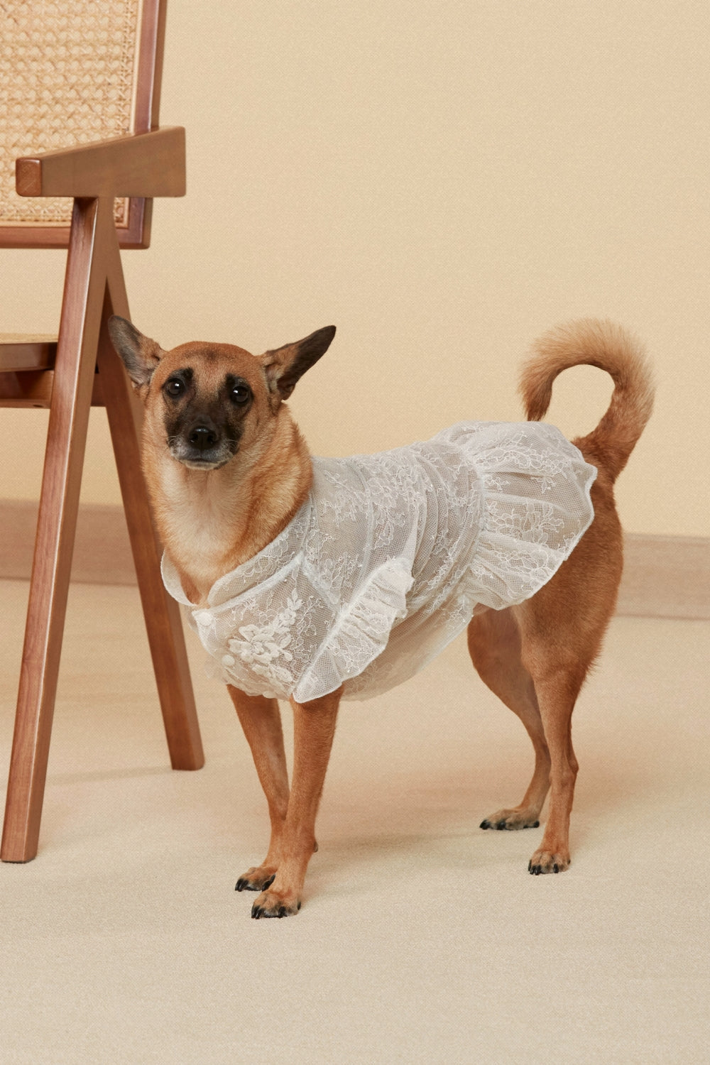 Lace Wedding Gown