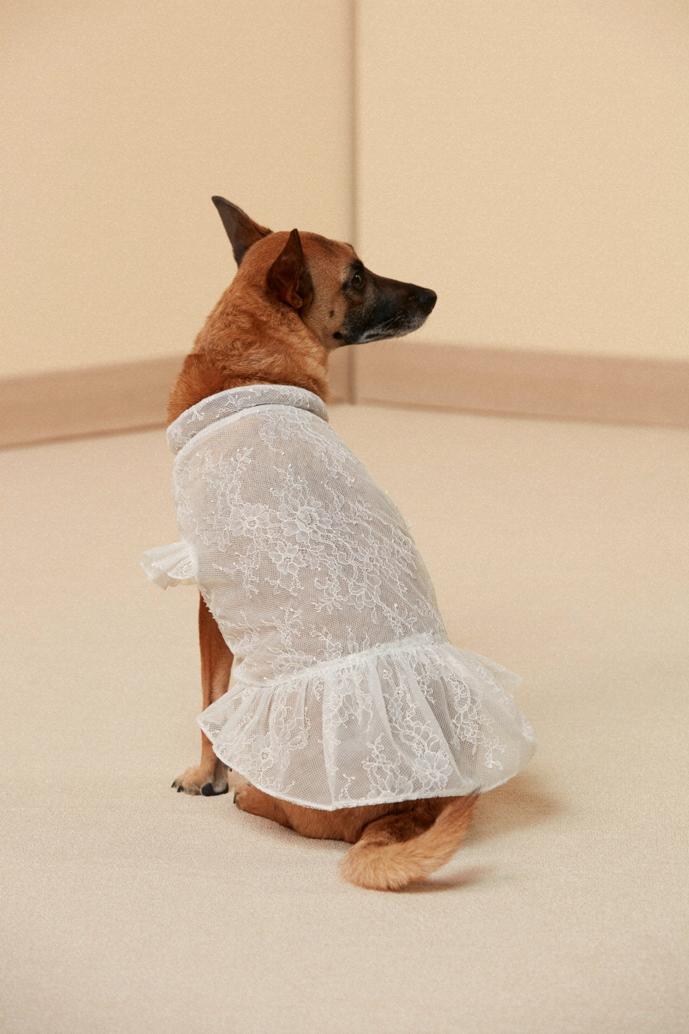 Lace Wedding Gown